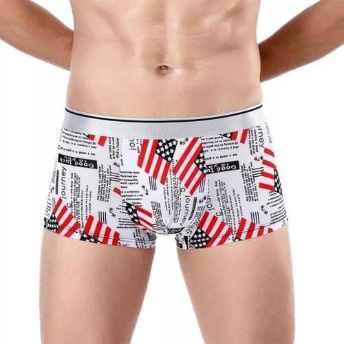 3PCS Mens Underwear Ice Silk Pants Printed Breathableand Comfortable Large Size Youth Boxer Underpants Four Seasons Trendy Boys