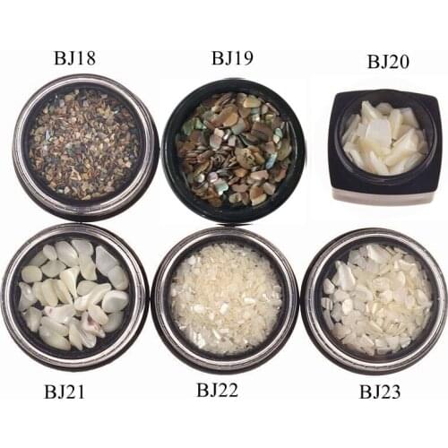1Jar Nail Art Shell Tiny Pieces Shell Stones White Big Shell Pieces Nail Art Shell Deco
