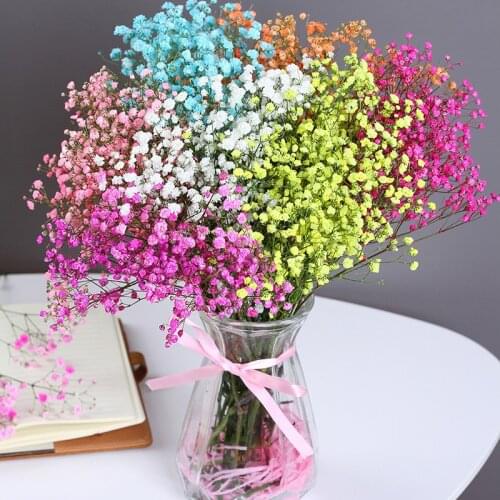 Gypsophila Breath Natural Dekoration Dried Preserved Babys Bouquet Babysbreath Flower Gedroogde Bloemen Wedding Accessories
