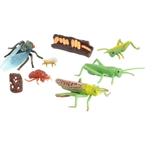 De Plástico Figuras De De Cigarra Modelo Juguetes