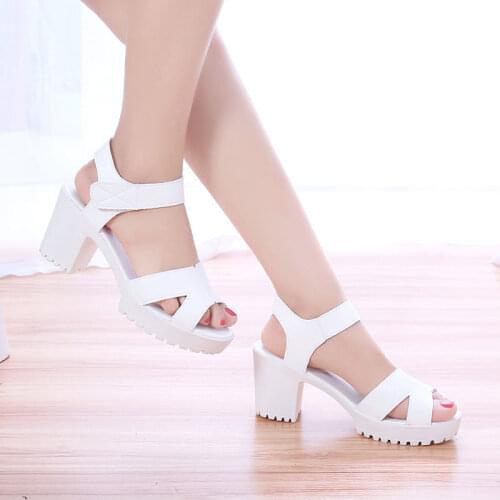 High Heel Women Sandals Summer New Wild Thick-heeled Women Platform Sandals Waterproof Fashion Ladies Sandals