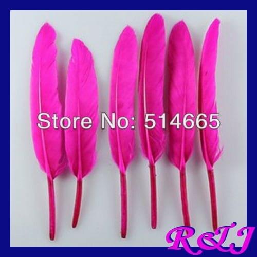 Wholesale geese feather 500pcs/lot Hot pink / Fushia dyed goose Feather For Party Performance approx 4-6 inches 10-15cm