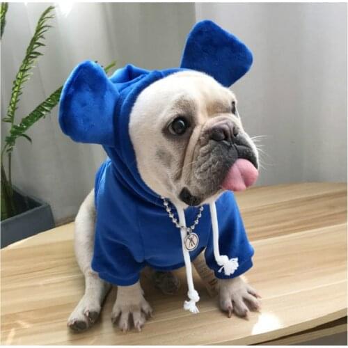Luxury Dog Coat Hooded Double-Sided Pleuche Puppy Clothes Winter Thicken Doggie Jacket Parent-Child Wear Outfits For Small Pet