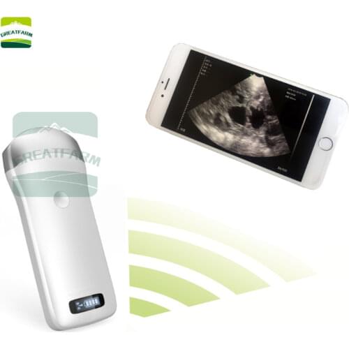 Wireless Veterinary Ultrasound Scanner Portable Pregnancy Test Handheld Ultrasound Machine Pig Sheep Large dog Pocket machine