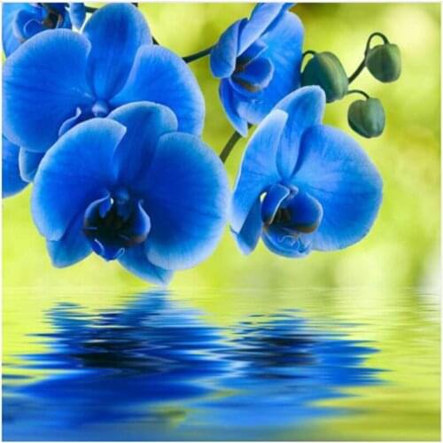 5d Diamond Embroidery Blue Orchid Flowers Painting Rhinestones Cross Stitch Needlework Set Beads full drill Square mosaic HL079