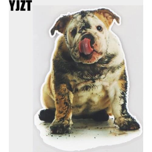 YJZT 13.5×18.7CM Dirty Dog Funny Animal Bumper Decoration Scratch Occlusion Car Sticker 21A-0067