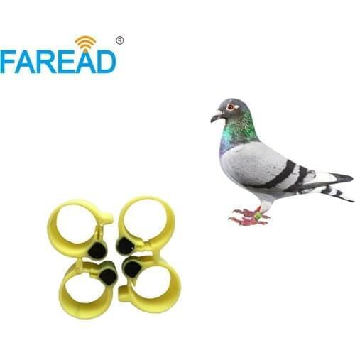 X100pcs RFID EMID chip 125KHz foot tag Ring for Chicken duck ID tagging