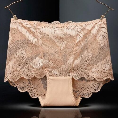 Sexy Lace High Waist Hollow Transparent Underwear for Plump Women Thin Breathable Cotton Crotch High Elasticity Panties Breifs