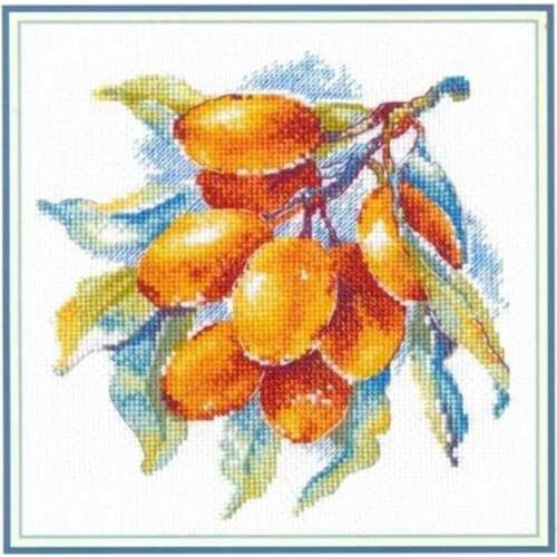 2021 Drop Shipping Embroidery Amber Berries Funny Retirement Cross Stitch with 100% Cotton Floss & Free Shipping for Wall Decor