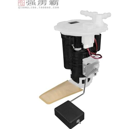 Fuel pump assembly for old Freema DSF-508#01051019-237