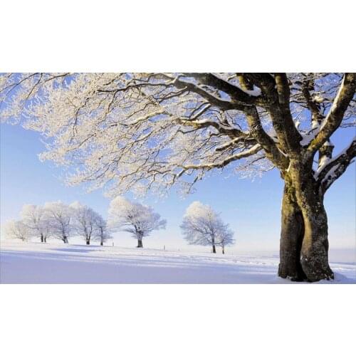 Custom 3d wallpapers for living room Trees Snow Landscape Background Wall 3d photo wall murals wallpaper for walls 3 d