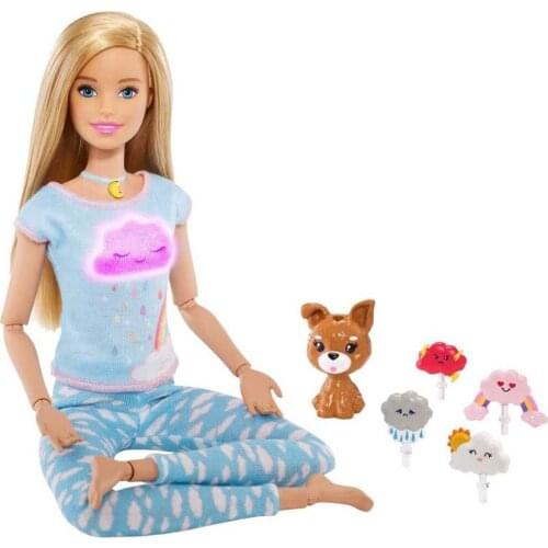 Original Barbie Doll Meditation time movement doll joint can clothes shoes pet play Girl Toy Birthday Gift Christmas gift
