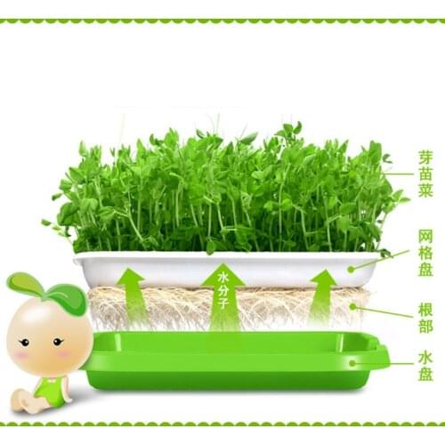 Seed Sprouter Tray BPA Free PP Soil-Free Wheatgrass Grower Lid Plate Hydroponic K1MF