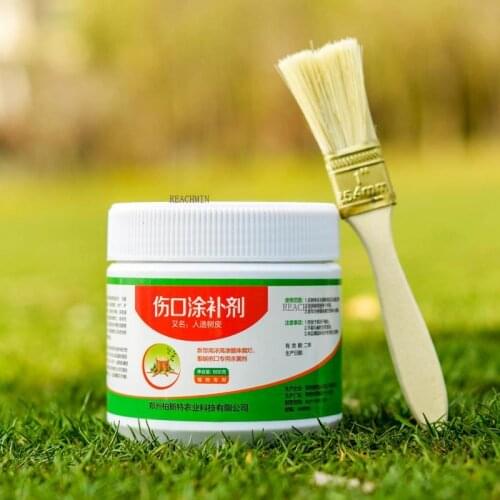 Plant Wound Agent Fruit Tree Sealant Smear Agent Graft Bark Repair Tree Pruning Sealer