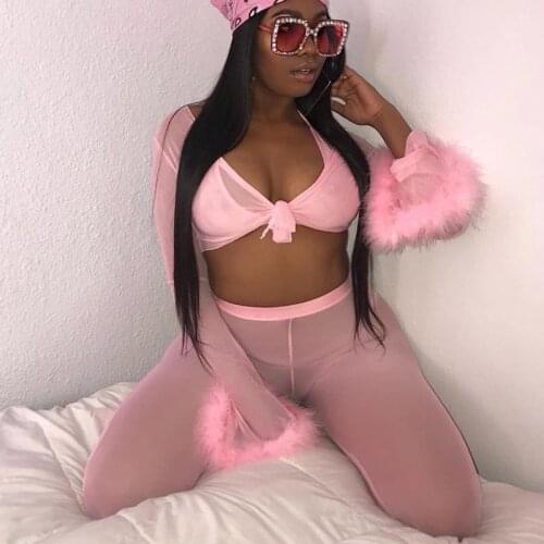 4 Pieces Set Sexy See Through Women Costume Pink Mesh Lingerie Autumn Long Sleeve Plush cuffs Top And Pants Streetwear