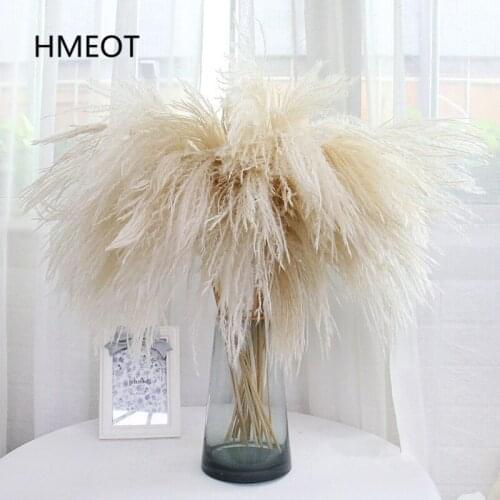 Pampas Grass Home Decor Reed Whisk Dried Flower Daisy Wedding Arrangement Christmas Plants Material Artificial Flowers 25pcs/lot