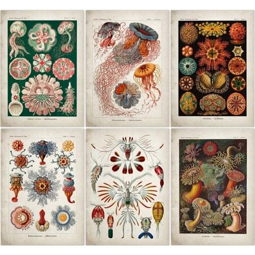 Marine Jellyfish seaweed Vintage Poster Jellyfish Corals Green Algae Sea Anemones Squirts Starfish Wall Art Canvas Paintings