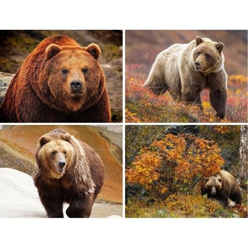 5D DIY Diamond Painting Bear Cross Stitch Kit Full Square/Round Diamond Embroidery Animal Mosaic Rhinestones Picture Home Decor