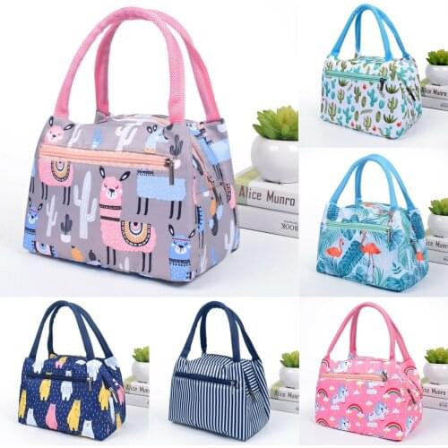 Adults Women Girls Portable Insulated Lunch Bag Box Picnic Waterproof Tote