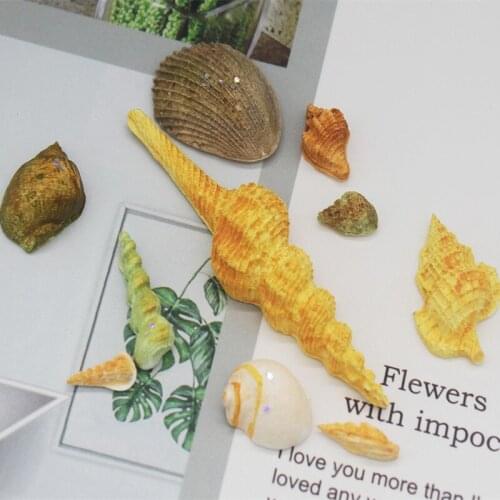 P984 Conch Shell Silicone Mold Sugar Mold Chocolate Mold Lace Mold Cake Decoration Mould