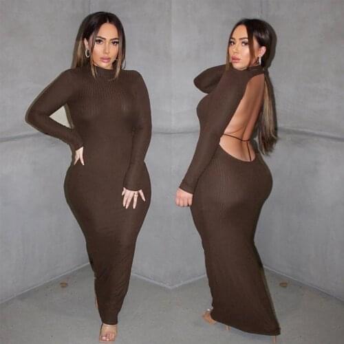 Echoine Long Sleeve Turtleneck Long Maxi Dress Women Sexy Backless Dresses Vintage Elegant Vestidos Autumn Spring Party Clubwear