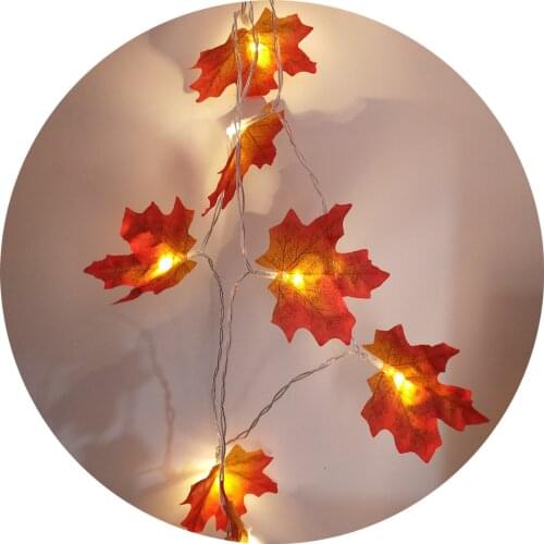 LED Holiday Light Bulbs Trecaan China