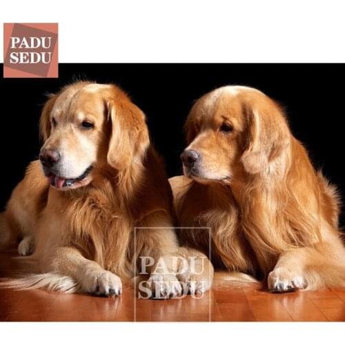 5D Dogs Diamond Painting Full Square Golden Retriever Dog Picture Mosaic Diamond Embroidery Pet Rhinestone Hobby Art Craft Gifts