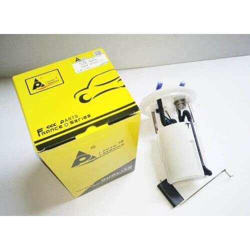 GAUGE WITH PUMP Used for Peugeot 307 408 807 Citroen c4 c8