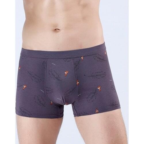 TJ-TianJun Men's Cotton Briefs