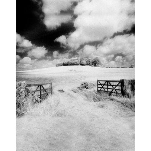 5x7ft Grass Tree Black White Photography Backdrops Photo Props Studio Background