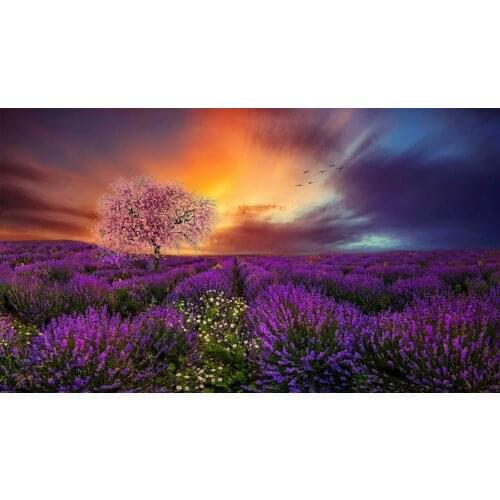 Lavender Field Sunset Cherry Blossoms Tree photo backdrop High quality Computer print wedding background