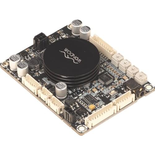 2 x 50W Class D audio power amplifier with DSP electronic frequency divider, support Sigmastudio programming