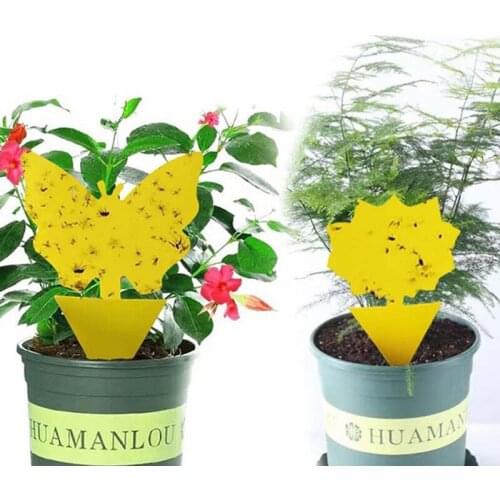 10PCS Sticky Fly Trap Yellow Dual-Sided Gnat Glue Trapper Sticky Bug Trap Disposable Plant Insect Catcher Sticky Board