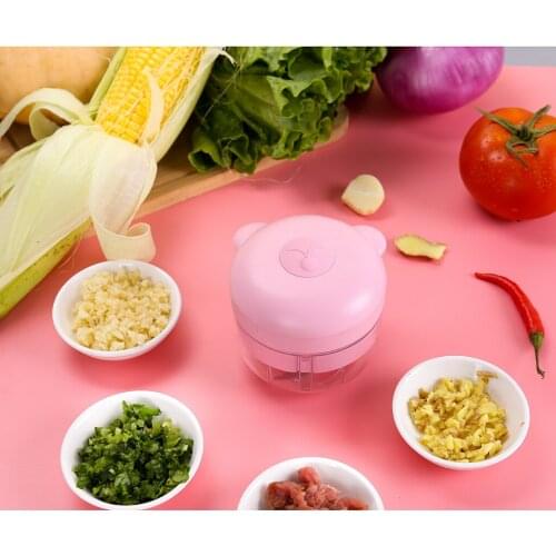 Multi-functional Electric Garlic Chopper Kitchen Food Chopper To Chop Fruits/Vegetables/Garlic/Onion