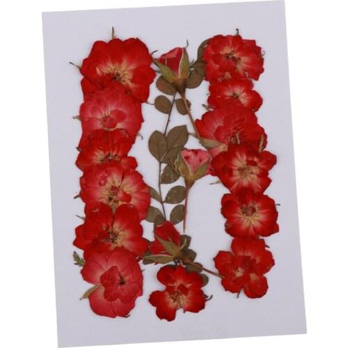 Multi Pieces Natural Pressed Dried Flowers Rose Petals Real Pressed Leaves For