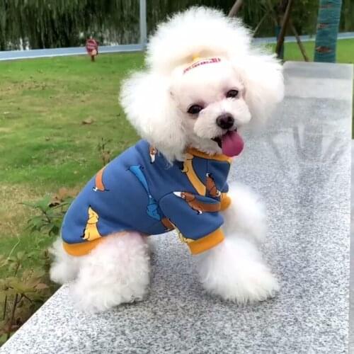 Cute Dog Hoodies Autumn Winter Dog Clothes Cat Puppy Doggie Outfit Small Dog Clothing Shirt Yorkshire Poodle Pomeranian Costume