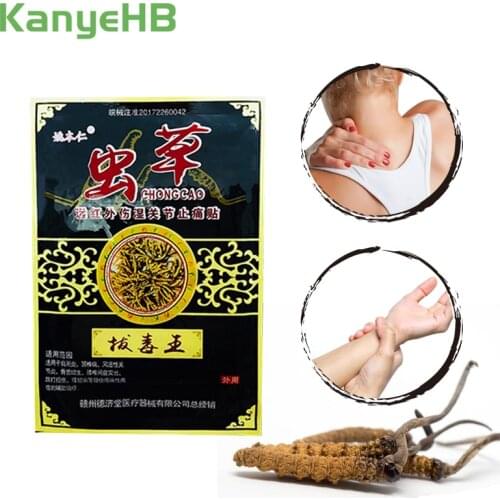 8pcs Precious Cordyceps Pain Relief Medicated Plaster Rheumatoid Arthritis Periarthritis Pain Patch Lumbar Health Care H017
