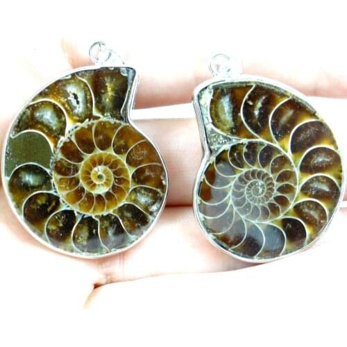 Natural 1Pcs iridescent Ammonite Fossil Specimen stone pendant Nautilus Pompiplius Ocean Fish Tank Stones Healing