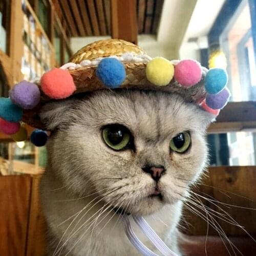 1pc New Fashion Pet Sun Hat Handcrafted Woven Hawaii Style Adjustable Pets Dog Puppy Caps Colorful Balls Straw Hat Pet Accessory