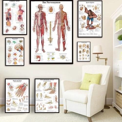 Human Anatomy Muscles System Art Poster Print Body Map Canvas Wall Pictures for Science Medicine Bedroom Decor