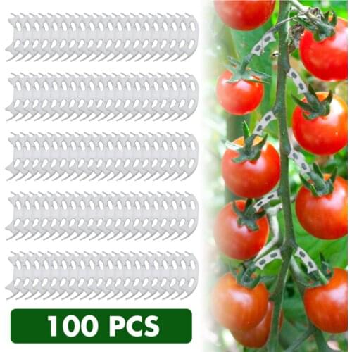 100pcs Tomato Fixing Clip Bend The Plant Clips 90 Degree Plant Bender For Low Stress Training Degree Plant Bender Holder Clips