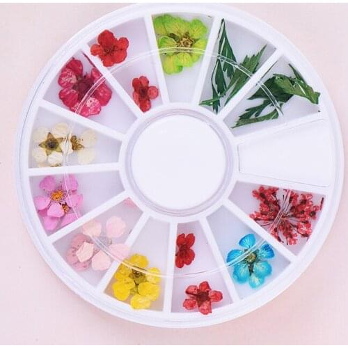 24Pcs/Wheel Mixed Manicure Polish Pressed Floral Leaf Nail Art Decorations 3D Dried Flower Nail Art Decoration