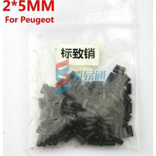 200PCS/LOT For Focus Car Flip Remote Key Fixed Pins Set Auto Locksmith Tools Part Repair Accessories Remote Control Fixing Pin