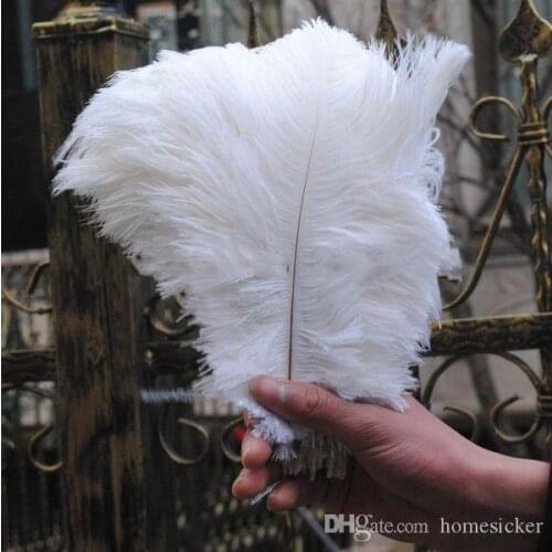 Wholesale 100pcs 8-10" White Fancy Ostrich Feather Plume for Making Feather Accessories or Decoration FREE SHIPPING