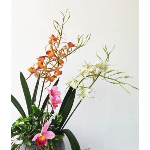 High-Quality Artificial Spider Orchid Simulation Dendrobium Branch Plastic Artificial Flower Living Room Club House Deco Plants