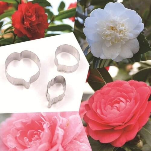 Camellia Petals 3Pcs Stainless Steel Cookie Cutter Pastry & Biscuit Baking Cutter Cake Decorating Tool Cupcake Mold Fondant Tool
