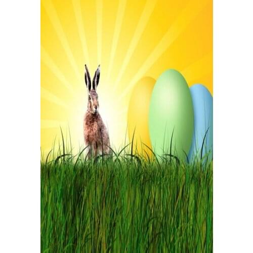 TR Photography Backdrop Easter Backdrop Cute Rabbit Color Eggs Grass Photo Background Cloth Happy Festival Photo Booth Backdrops