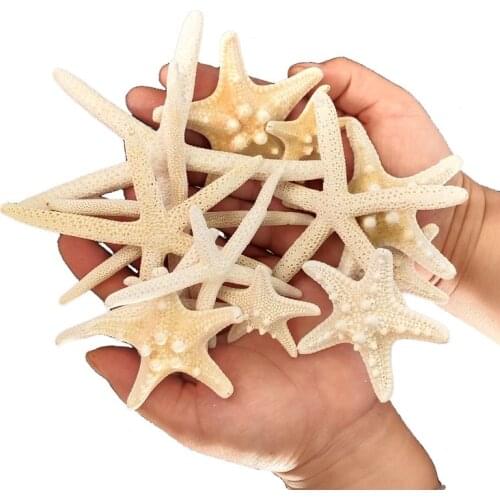 10pcs 5-8cm natural starfish Mediterranean Style DIY Artificial sea star shell Party Wedding home decor handicrafts white