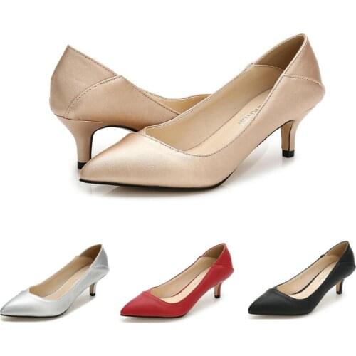 Kitten Heel Pumps Low 2" Big Size 35-46 Pointed Toe Mens Heels Drag Queen Trans Queer Work Court Beige Silver Women Shoes