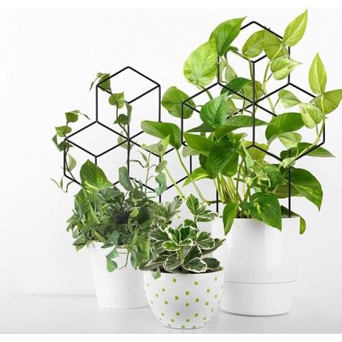 1PCS Garden Plant Indoor Potted Flower Arrangement Stand Flower Arrangement Rod Fixed Climbing Frame